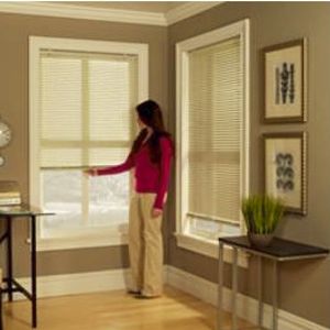 Mini Blinds Mini Blinds